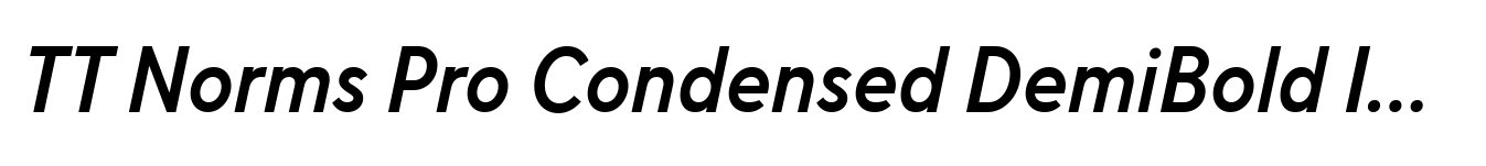 TT Norms Pro Condensed DemiBold Italic image